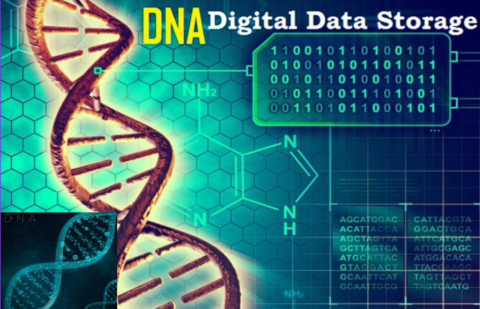 DNA DATA STORAGE